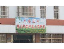 莱芜泰合嘉园吃瓜,一场别开生面的“吃瓜”盛宴