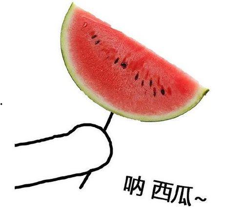 留学圈吃瓜群,揭秘海外留学生活背后的真实故事