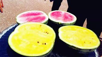 长垣吃瓜后续爆料,揭秘真相与争议  第2张