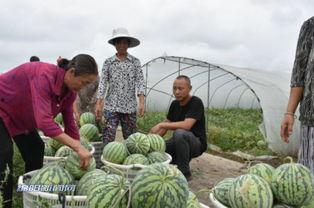 吃瓜绵阳,揭秘这座城市的独特美食文化  第2张