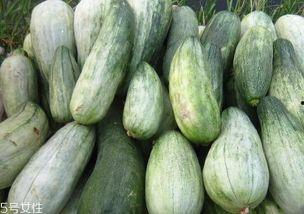 孕妇可以吃酥瓜,酥瓜,营养美味两不误 第2张 孕妇可以吃酥瓜,酥瓜,营养美味两不误 第2张