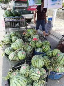 广州轻工吃瓜事件,一场引发热议的职场风波揭秘