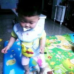 吃瓜的小西西,揭秘吃瓜小西西的趣味生活  第2张