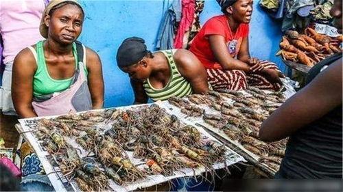 非洲最穷的人吃瓜,瓜果充饥,生活艰辛 第2张 非洲最穷的人吃瓜,瓜果充饥,生活艰辛 第2张