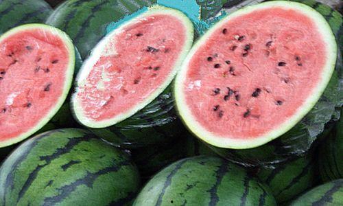 自己家吃瓜视频,揭秘家庭欢乐时光  第2张