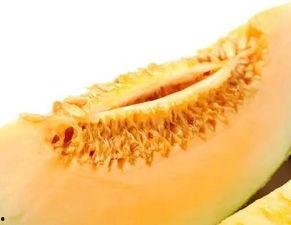 你吃不吃蜜瓜,揭秘吃货与蜜瓜的甜蜜邂逅  第2张