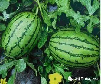 八吃瓜,揭秘娱乐圈背后的那些事儿  第1张