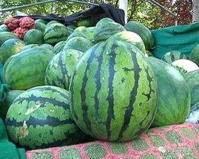 八吃瓜,揭秘娱乐圈背后的那些事儿  第2张