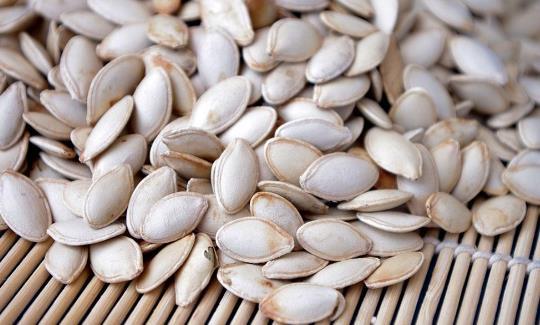 吃瓜萎籽放屁,揭秘生活中的趣味现象 第1张 吃瓜萎籽放屁,揭秘生活中的趣味现象 第1张