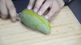 傻瓜吃生瓜,生瓜的奇妙之旅  第1张