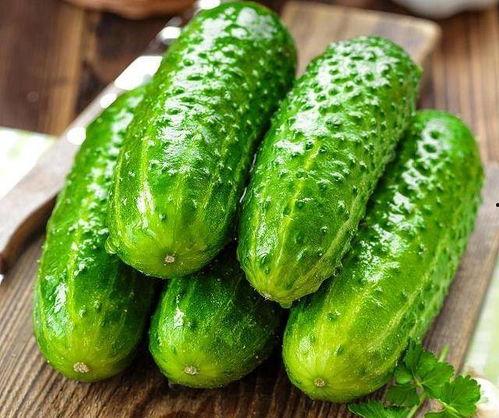 傻瓜吃生瓜,生瓜的奇妙之旅  第2张