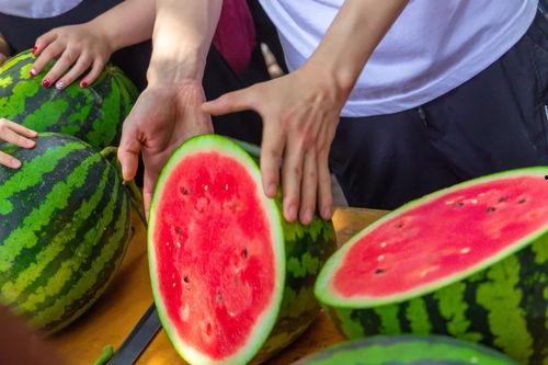 大学教授吃瓜,揭秘学术圈幕后故事  第3张