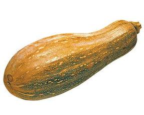 蓝瓜如何吃,蓝瓜的多样食用方法与创意搭配指南