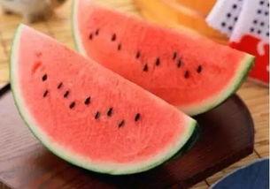 蓝瓜如何吃,蓝瓜的多样食用方法与创意搭配指南 第3张 蓝瓜如何吃,蓝瓜的多样食用方法与创意搭配指南 第3张