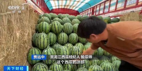 太行山吃瓜,探寻太行山特色美食之旅  第2张