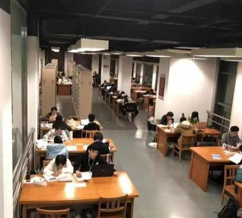 学校吃瓜食堂事件,揭秘吃瓜事件背后的真相  第2张