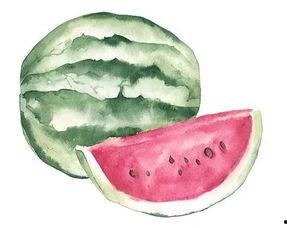 男女吃瓜不同,男女吃瓜偏好大比拼