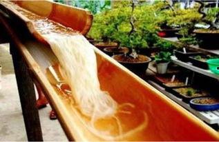 竹子和朋友吃瓜,竹友共度美好时光