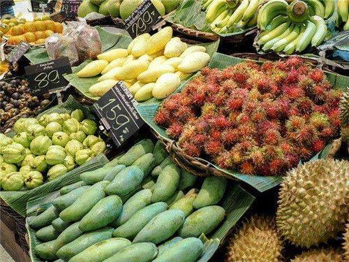 新通留学吃瓜,吃瓜群众眼中的留学行业风云录