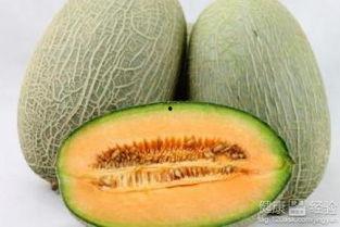 南北吃哈密瓜,哈密瓜的甜蜜之旅