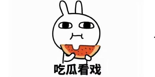 吃瓜被骗文案短句