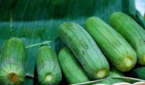 每日吃瓜有哪些,轻松掌握娱乐圈新鲜事