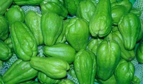 吃瓜智慧看点,吃瓜智慧看点，带你领略明星幕后故事