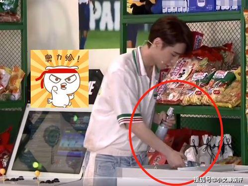 路人吃瓜直播间,路人吃瓜，揭秘网红幕后故事