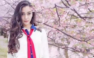 樱花少女吃瓜群众,樱花少女与吃瓜群众的趣味互动