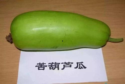 吃葫芦瓜的坏处,葫芦瓜过量食用的潜在危害揭秘