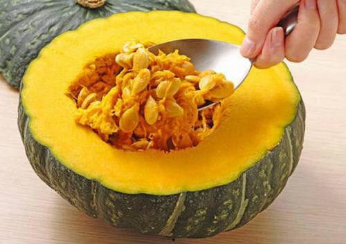 只吃南瓜籽的瓜是什么瓜,揭秘只吃南瓜籽的瓜之谜