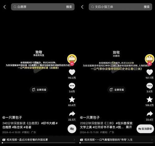 抖音超长视频,揭秘背后精彩瞬间与创作故事