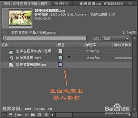 插入视频,一窥全貌